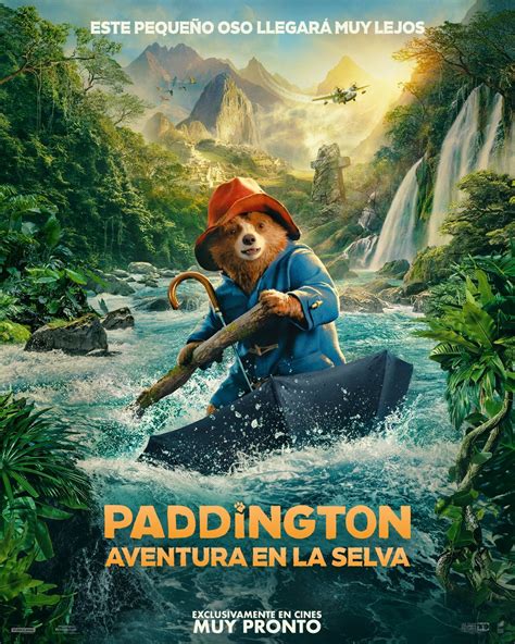 Paddington in Peru 2025